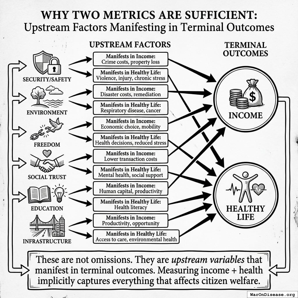 A conceptual diagram showing how multiple upstream factors like security, environment, and education funnel into two terminal outcomes: Income and Healthy Life.